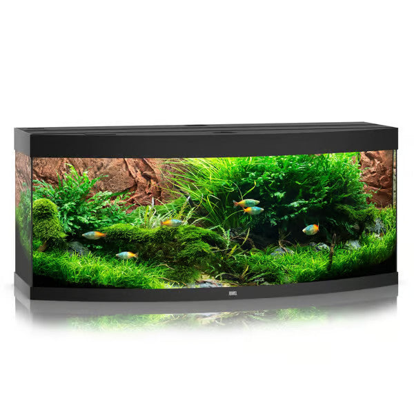 Juwel Rio 450 Aquarium