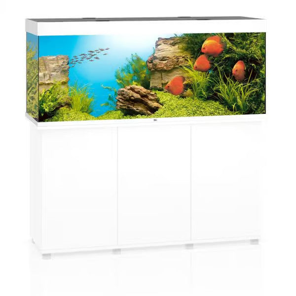 Juwel Rio 450 Aquarium