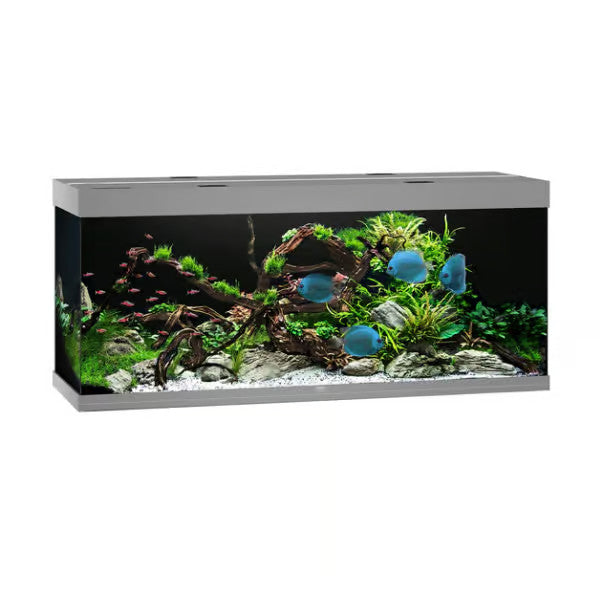 Juwel Rio 450 Aquarium