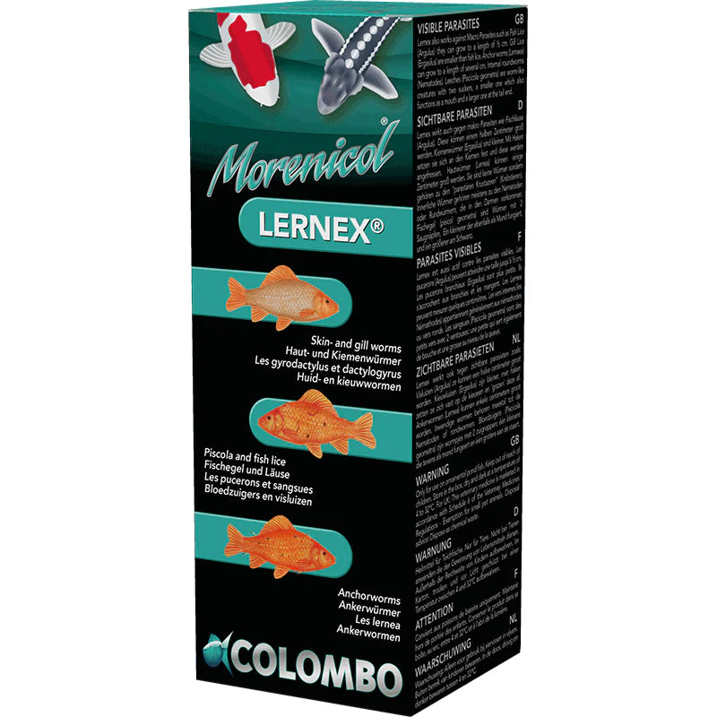 Colombo Lernex - 400g