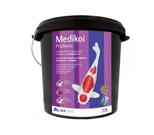 Medikoi Probiotic 6mm
