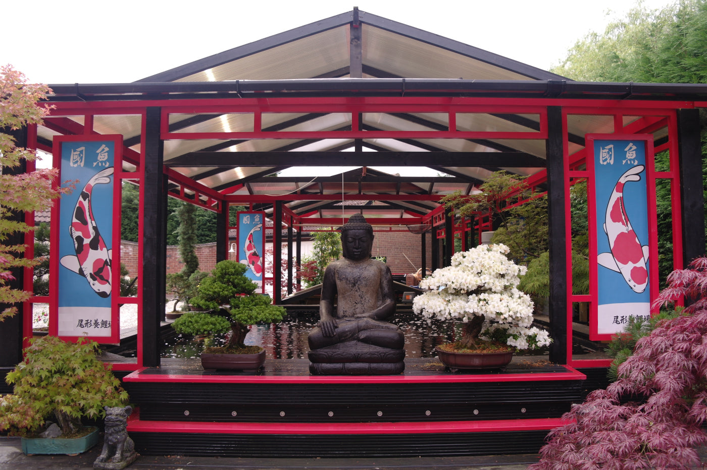 Koi and Tropical Fish Specialists – C N Koi