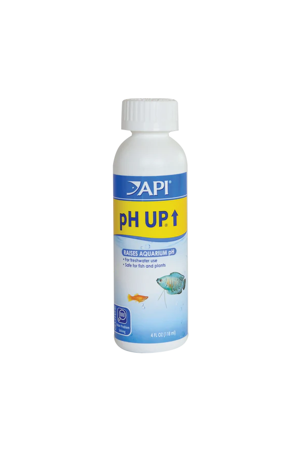 PH Up Bottle