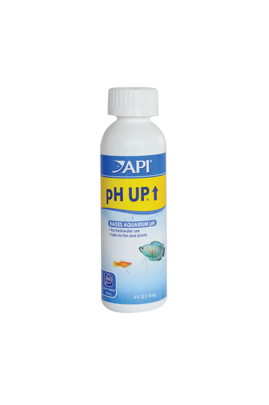 PH Up Bottle