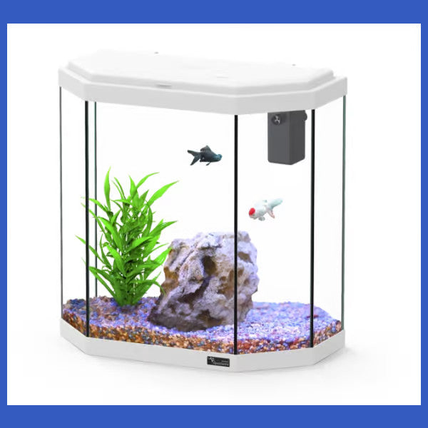 Explorer Rome 30L Aquarium White