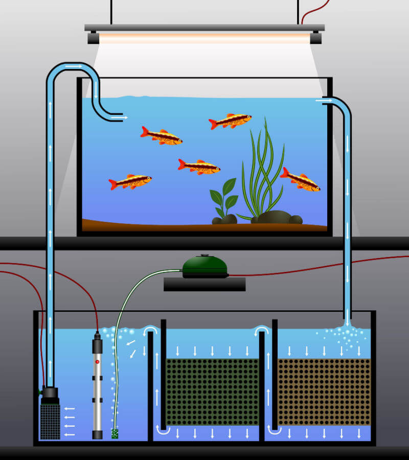 Sump Filter – C N Koi