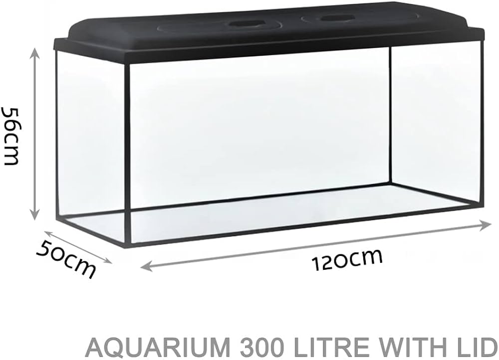 Glass 300 Litre Aquarium