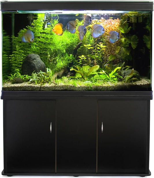 Glass 300 Litre Aquarium