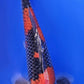 Goshiki - 22cm
