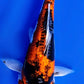 Goshiki - 23cm
