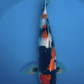 Omosaka Showa (with Certificate) - 58cm