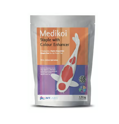Medikoi Staple + Colour 6mm