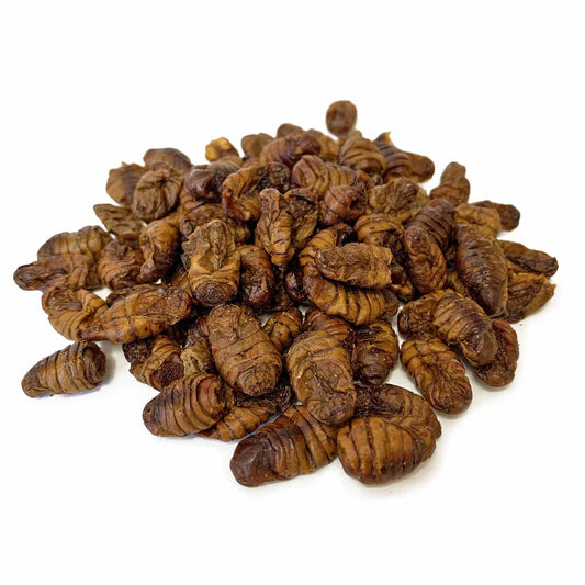 Natures Grub - Silkworm Pupae