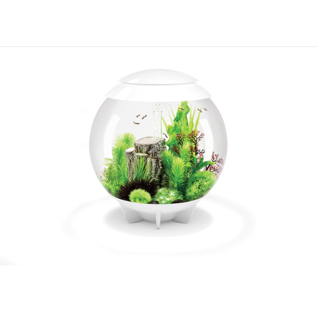 BiOrb Halo 60L Aquarium Fish Tank in White with MCR LED Lighting