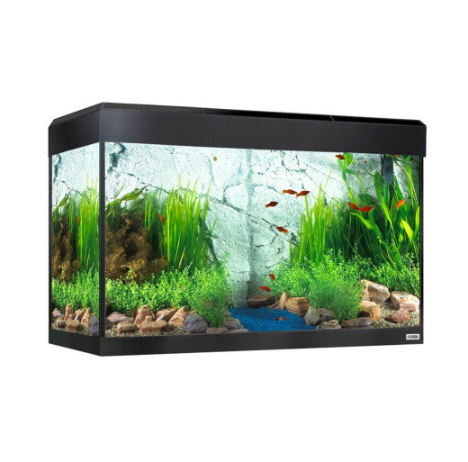 Fluval Roma 125 Bluetooth LED Aquarium