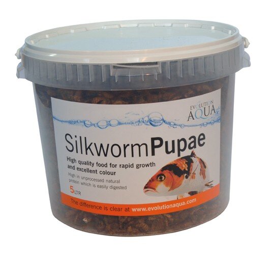 Evolution Aqua Silkworm Pupae 1.6kgs